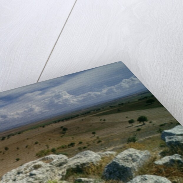 View from Troy of the surrounding landscape by Anonymous