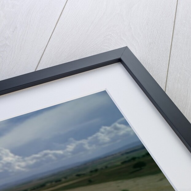 View from Troy of the surrounding landscape by Anonymous