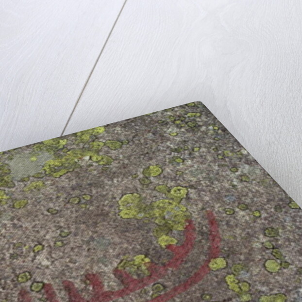 Boat by Protohistoric Protohistoric