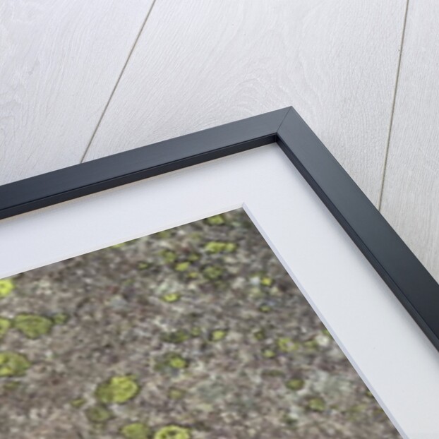 Boat by Protohistoric Protohistoric