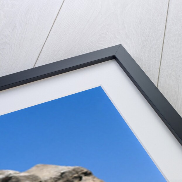 View of the Qumran Caves, where the Dead Sea Scrolls were discovered in 1947 by Anonymous