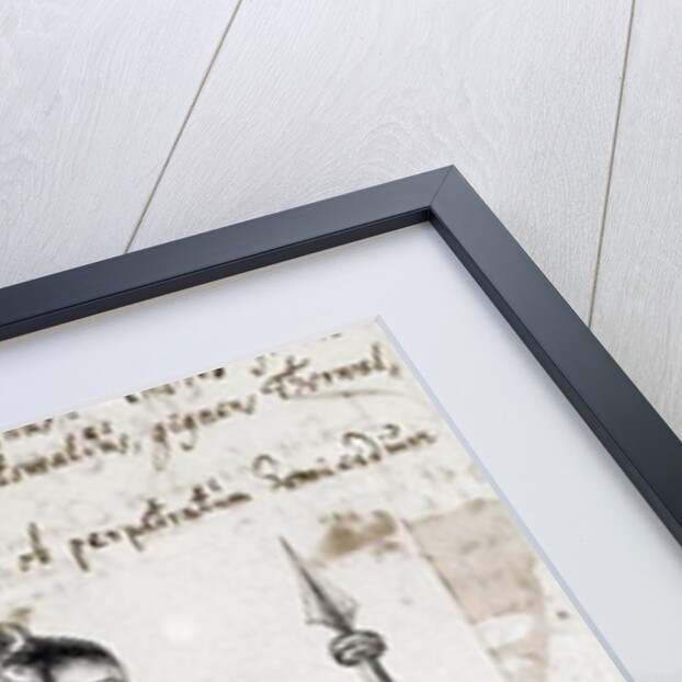 Eric the Red by Danish School