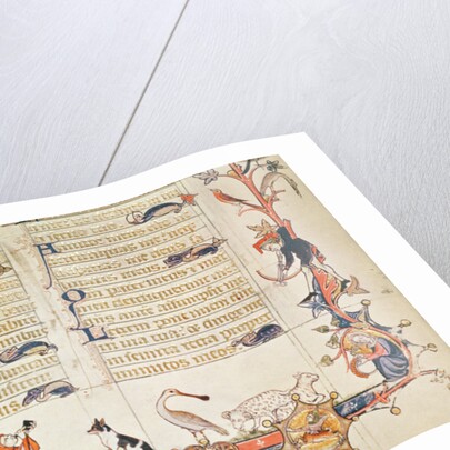 Illustration from a psalter, depicting various figures, a spoonbill, sheep, centaurs and Reynard the Fox by School English