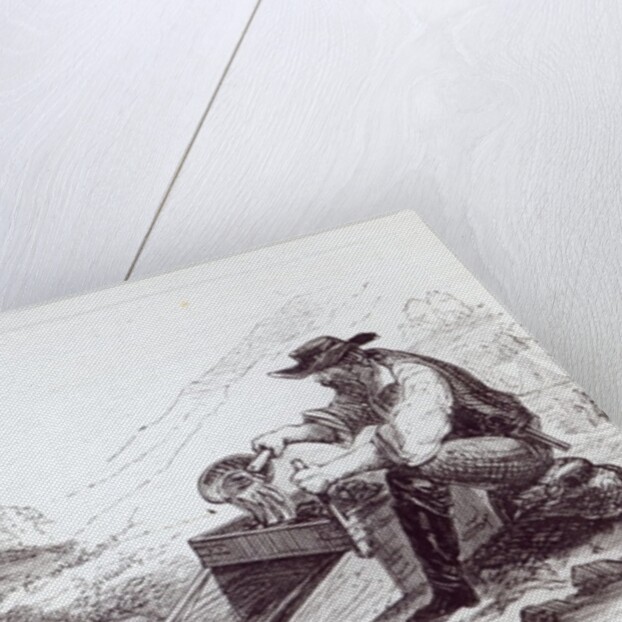 The Australian Gold Diggers by English School