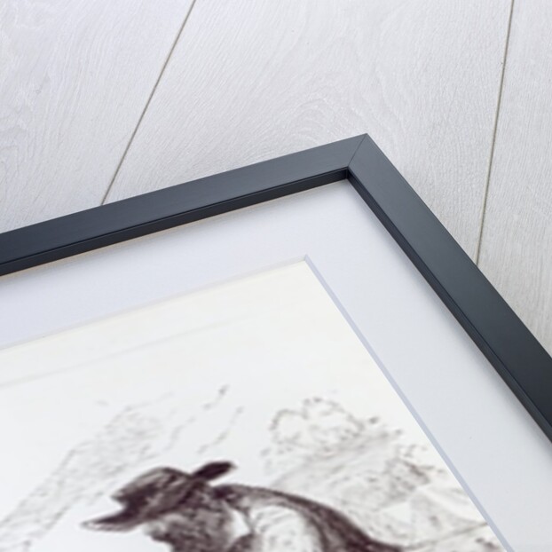 The Australian Gold Diggers by English School