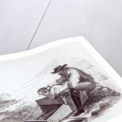 The Australian Gold Diggers by English School