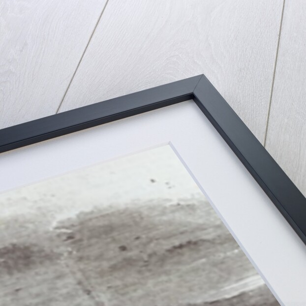 Norfolk Island by English School