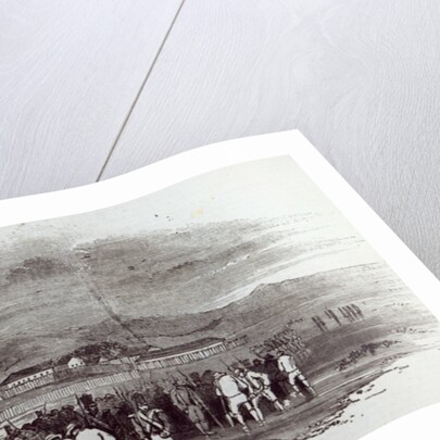 Norfolk Island by English School