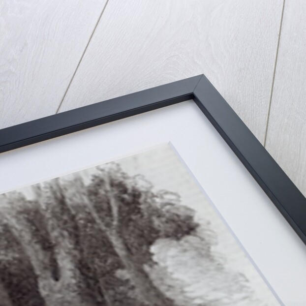 Mount Alexander gold-diggers at evening mess by English School