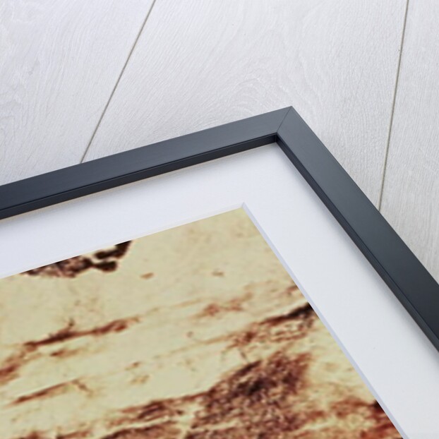 Rock painting of a leaping cow and a frieze of small horses, c.17000 BC by Prehistoric Prehistoric