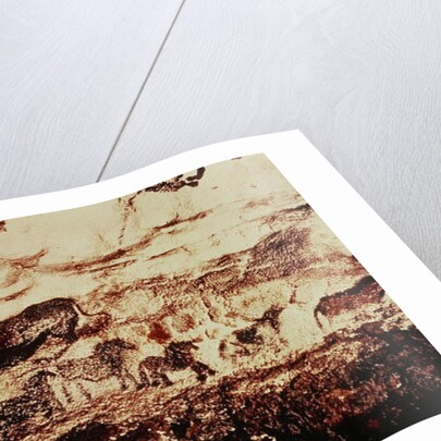 Rock painting of a leaping cow and a frieze of small horses, c.17000 BC by Prehistoric Prehistoric