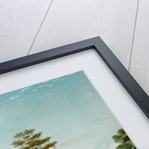 The Olivier Plantation, 1861 by Adrien Persac