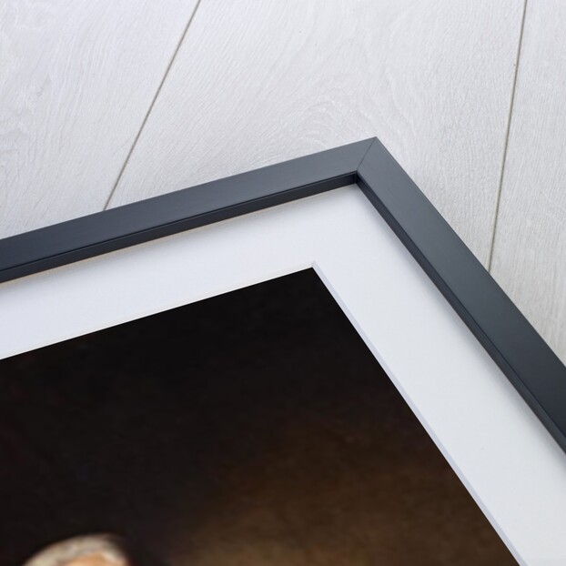 Robert Morris by Charles Willson Peale