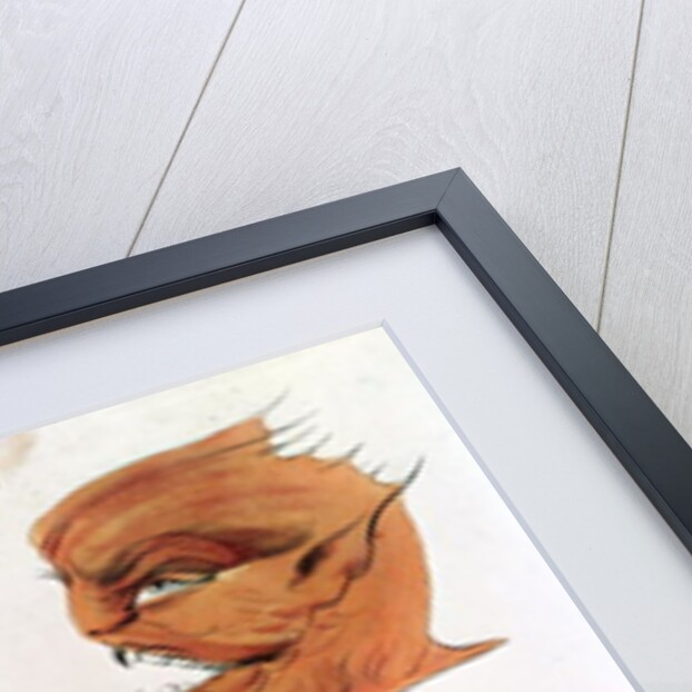 Heads of Evil Demons: Theumis, Asmodeus and The Incubus, illustrations from 'The Magus', pub. 1801 by Francis Barrett