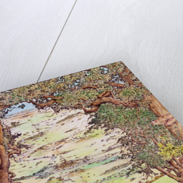 Ley-line in the English countryside by Anonymous Anonymous