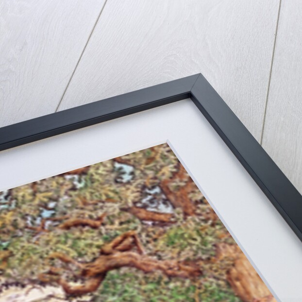 Ley-line in the English countryside by Anonymous Anonymous