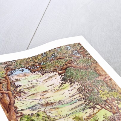 Ley-line in the English countryside by Anonymous Anonymous