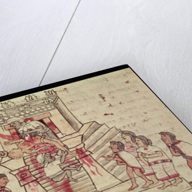 B.R. 232 fol.70r A human sacrifice from the Codex Magliabechiano by Aztec