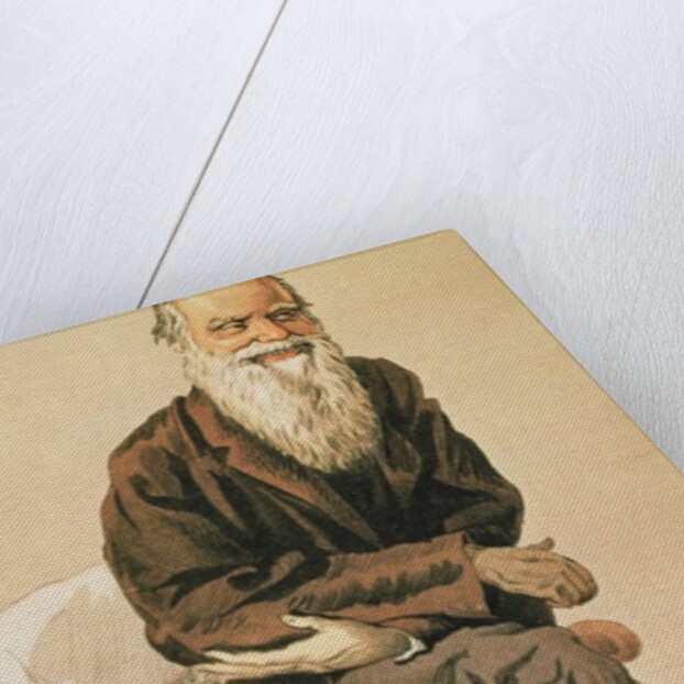 Men of the Day, no. 33, Charles Darwin, cartoon from Vanity Fair by Anonymous