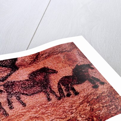 Rock painting of tarpans, c.17000 BC by Prehistoric Prehistoric