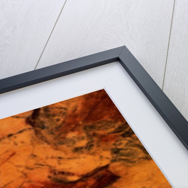 Bison from the Caves at Altimira, c.15000 BC by Prehistoric Prehistoric