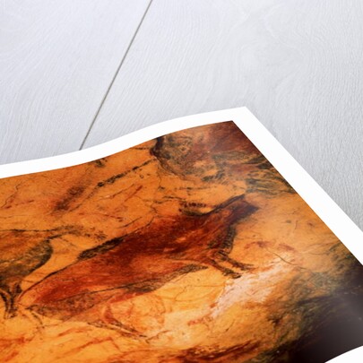 Bison from the Caves at Altimira, c.15000 BC by Prehistoric Prehistoric