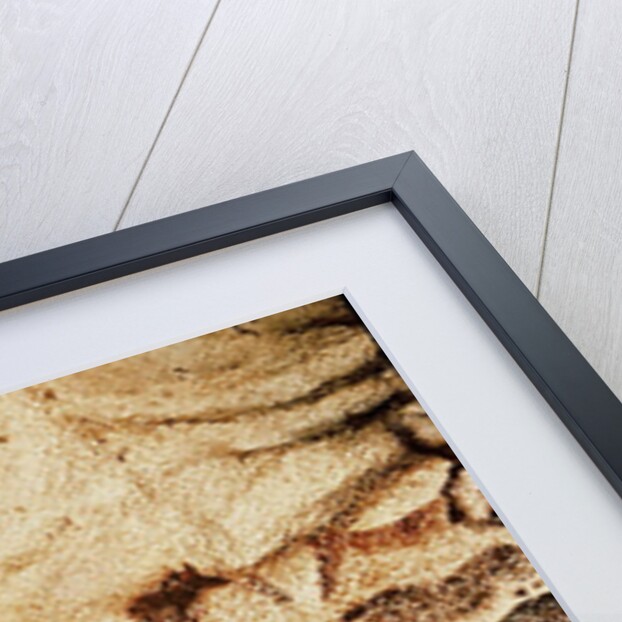 Horses and deer from the Caves at Altamira, c.15000 BC by Prehistoric Prehistoric