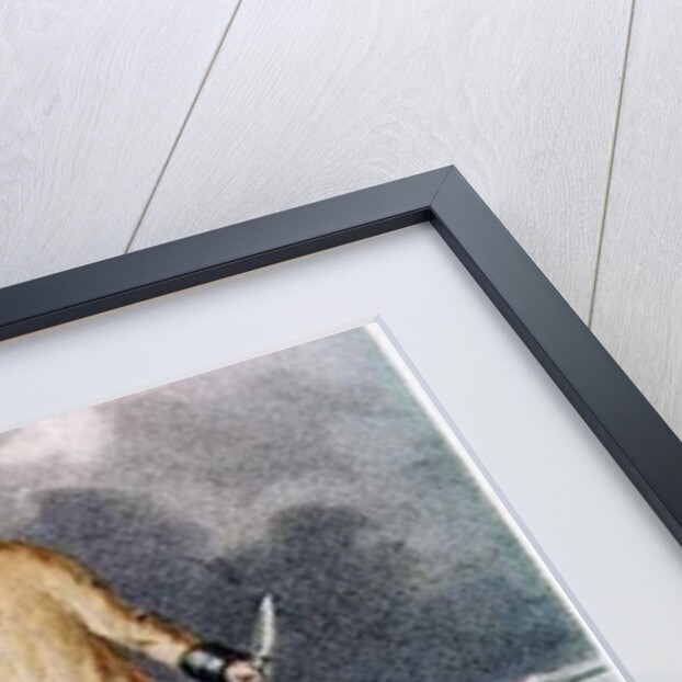 Kunana, an eskimo by John (after) Ross