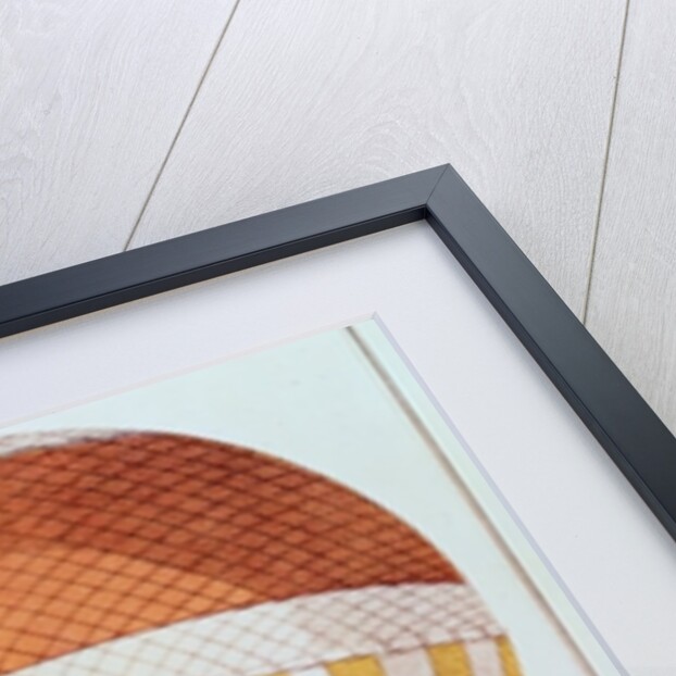 The First Channel Crossing by Air of Jean Pierre Francois Blanchard and John Jeffries, 1785 by French School