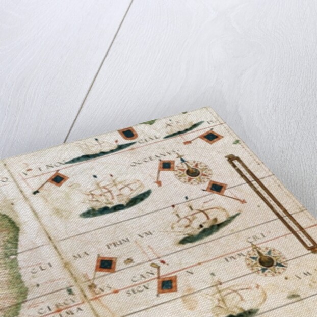 Brazil from the 'Miller Atlas' by Pedro Reinel, c.1519 by Portuguese School