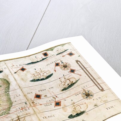 Brazil from the 'Miller Atlas' by Pedro Reinel, c.1519 by Portuguese School