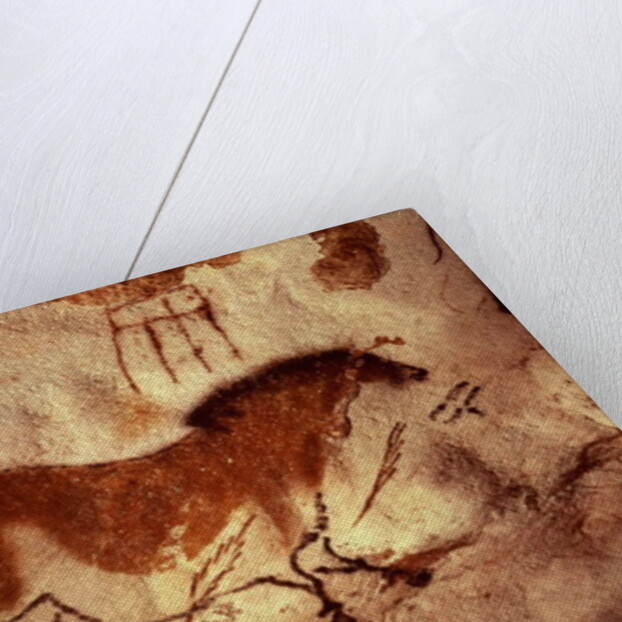 Rock painting of a horse, c.17000 BC by Anonymous