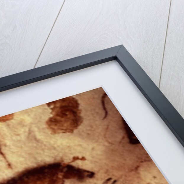 Rock painting of a horse, c.17000 BC by Anonymous