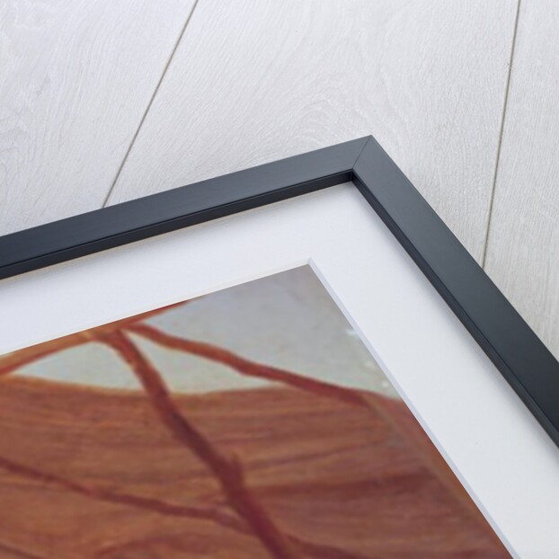 Osceola in Captivity, c.1837 by Captain Seth Eastman