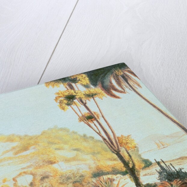 View of the coast of Brazil opposite the island of Santa Catarina, c.1825 by Ludwig Choris