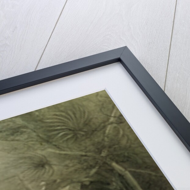 Broken Mayan idol at Copan, Guatemala by Frederick Catherwood