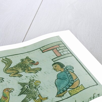 Ms Palat. 218-220 Book IX Animals of the Aztec Emperor by Spanish School