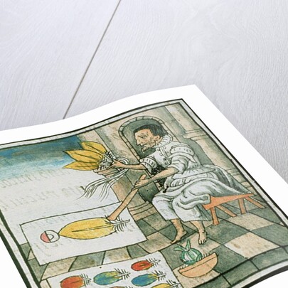 Ms Palat 218-220 Book IX An Aztec feather artisan by Spanish School