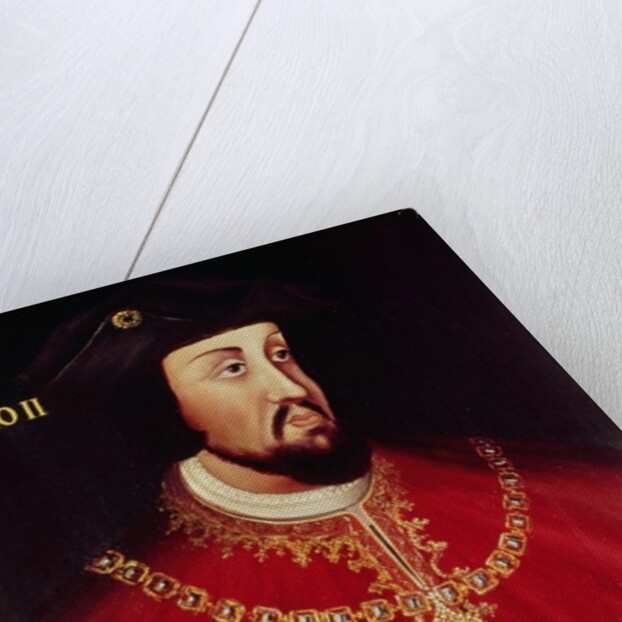Portrait of John II of Portugal by Portuguese School