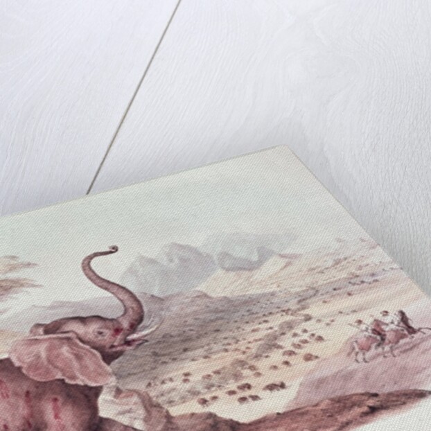 Hunting the Wild Elephant by William Cornwallis Harris