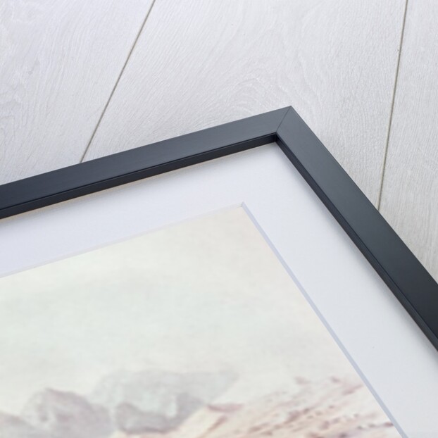 Hunting the Wild Elephant by William Cornwallis Harris