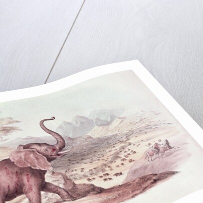 Hunting the Wild Elephant by William Cornwallis Harris