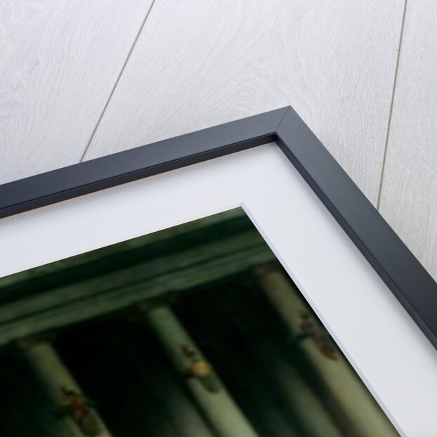 The Death of Caesar, 1867 by Jean Leon Gerome