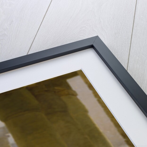 Syria, The Nightwatch, 1880 by Briton Riviere