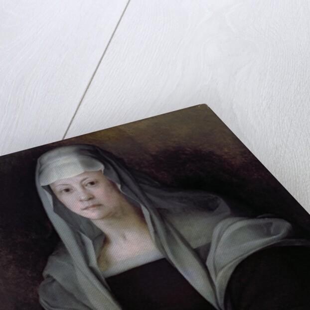 Portrait of Maria Salviati with Giulia de' Medici, c.1539 by Jacopo Pontormo