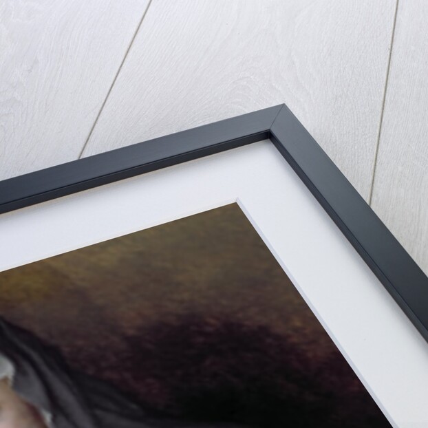 Portrait of Maria Salviati with Giulia de' Medici, c.1539 by Jacopo Pontormo