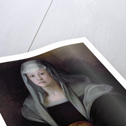 Portrait of Maria Salviati with Giulia de' Medici, c.1539 by Jacopo Pontormo