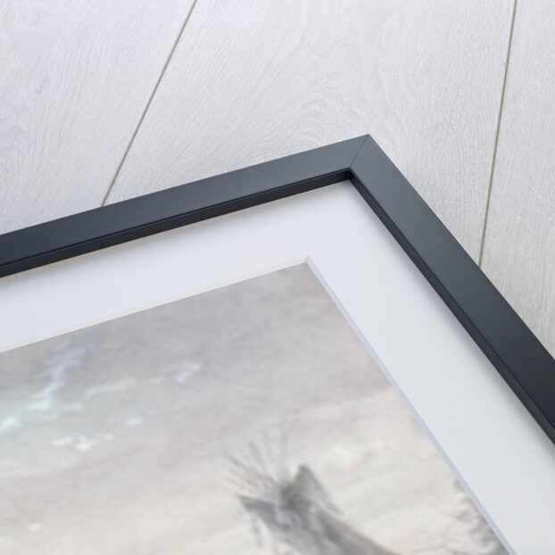 Snake Indians, 1837 by Alfred Jacob Miller