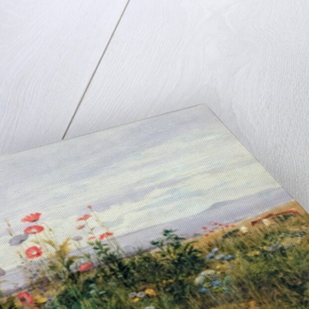 Fleurs sauvages avec une vue de Dublin Dunleary by Andrew Nicholl