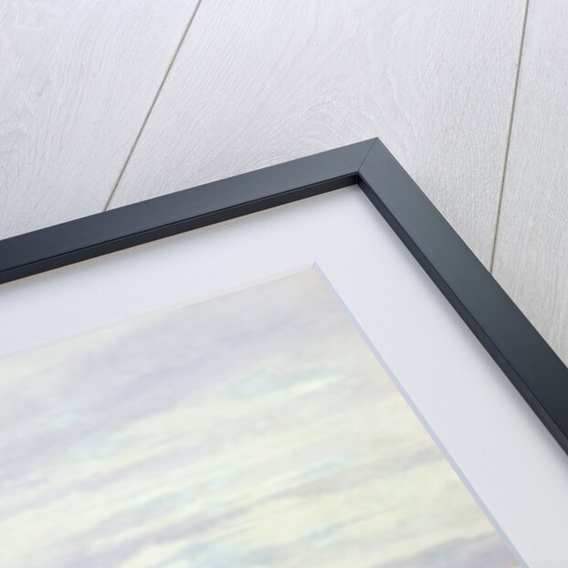 Fleurs sauvages avec une vue de Dublin Dunleary by Andrew Nicholl